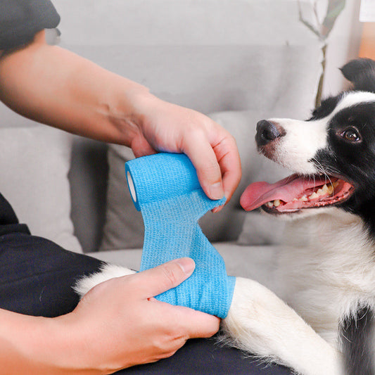 Dog Products, Prevent Dirt When Pet Puppies Go Out.